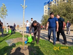 blog-image